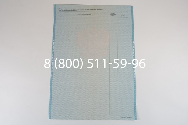 Диплом специалиста 2010-2011 годов в Воронеже