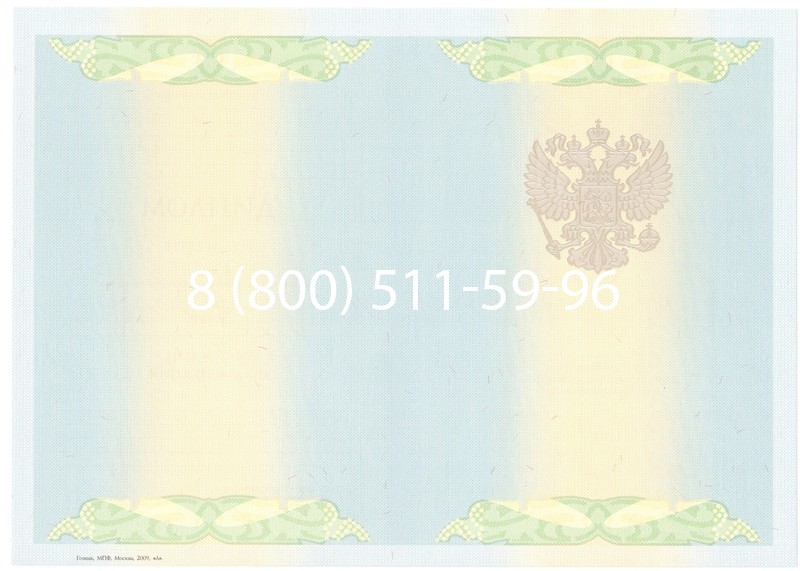 Купить Диплом специалиста 2010-2011 годов в Воронеже