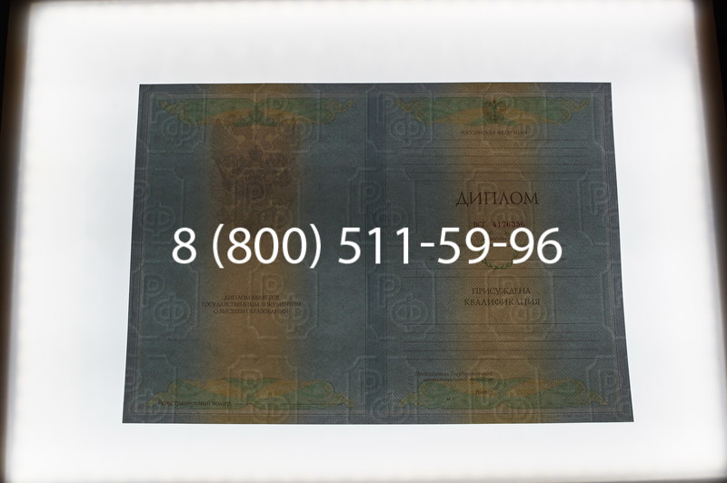 Заказать Диплом специалиста 2010-2011 годов в Воронеже
