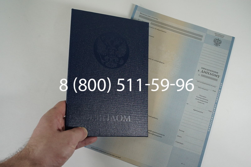 Диплом специалиста 2010-2011 годов в Воронеже