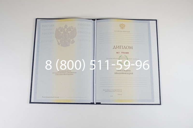 Диплом специалиста 2010-2011 годов в Воронеже