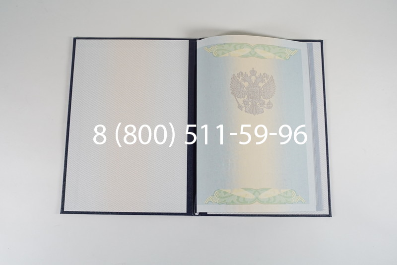 Диплом специалиста 2010-2011 годов в Воронеже