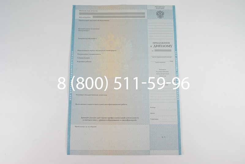 Диплом специалиста 2010-2011 годов в Воронеже