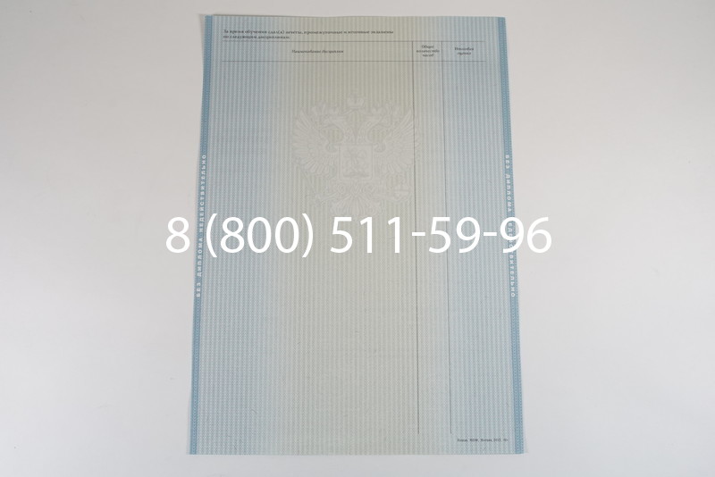 Диплом специалиста 2012-2013 годов в Воронеже