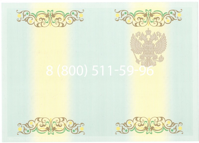 Купить Диплом специалиста 2012-2013 годов в Воронеже