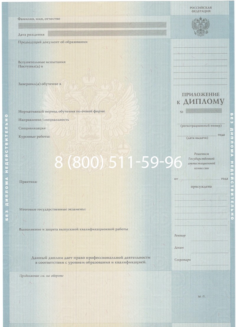 Заказать Диплом специалиста 2012-2013 годов в Воронеже