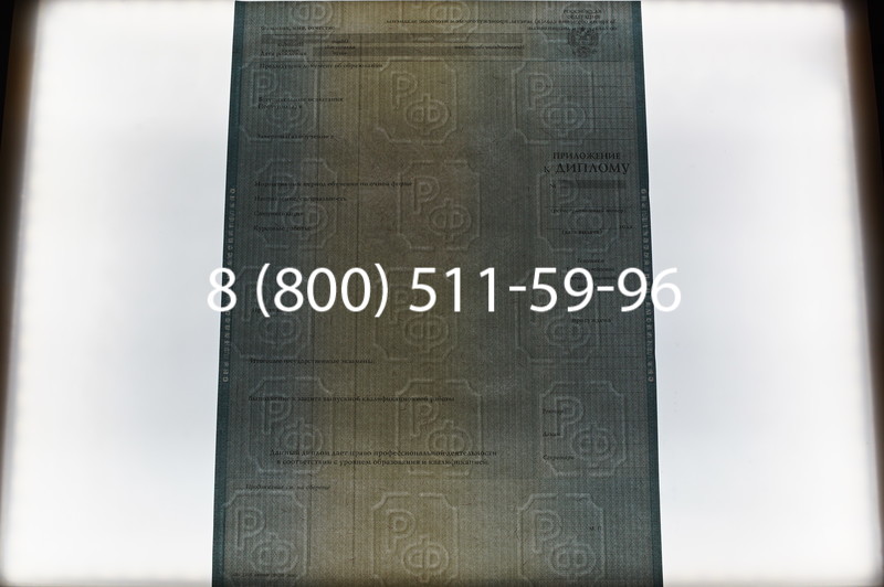 Заказать Диплом специалиста 2012-2013 годов в Воронеже