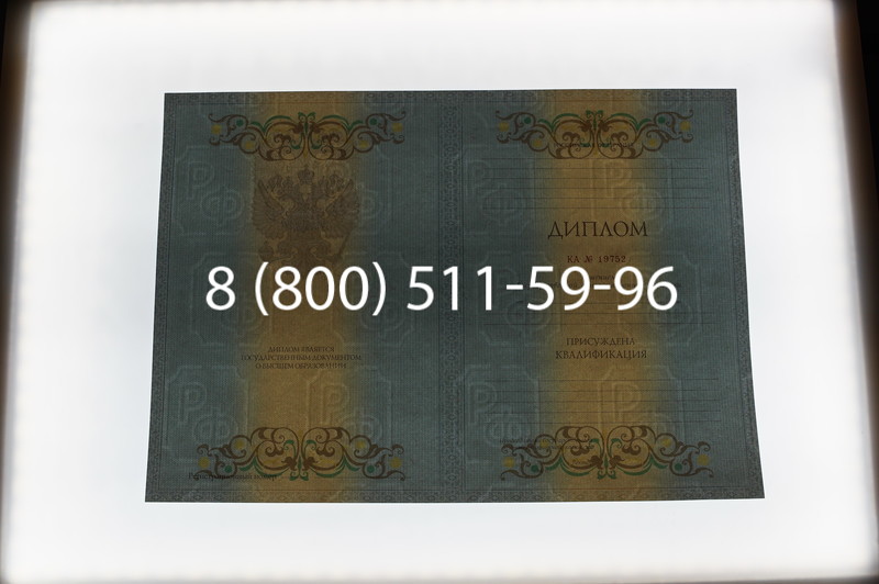 Заказать Диплом специалиста 2012-2013 годов в Воронеже