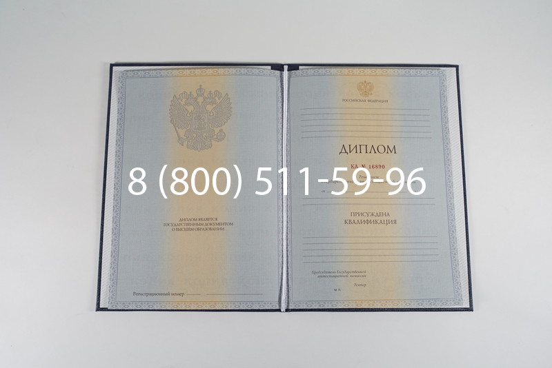 Диплом специалиста 2012-2013 годов в Воронеже