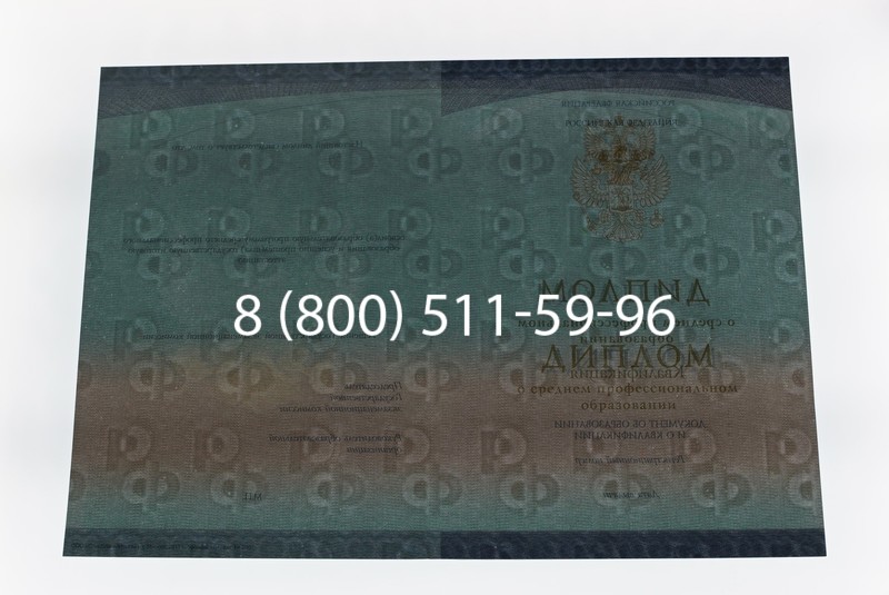 Диплом техникума (Спецбланк) 2014-2026 года в Воронеже