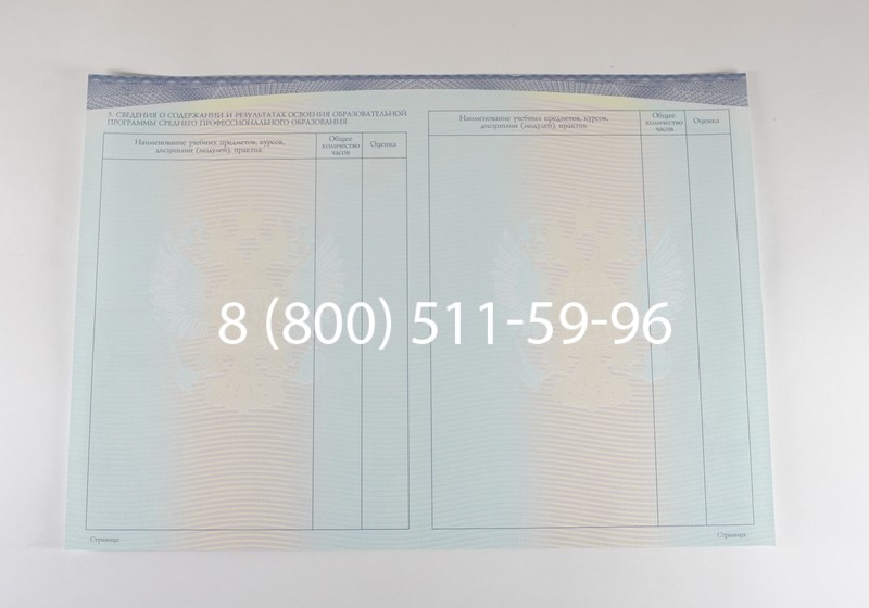 Диплом техникума (Спецбланк) 2014-2026 года в Воронеже