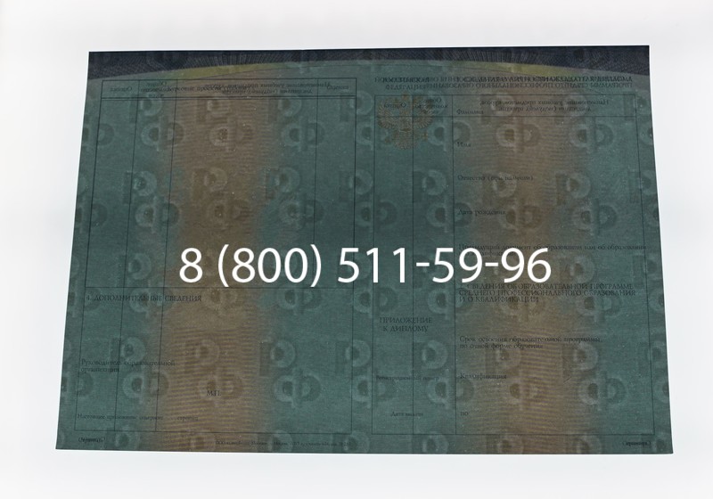 Диплом техникума (Спецбланк) 2014-2026 года в Воронеже