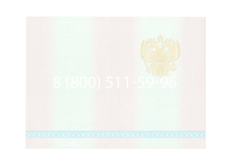 Заказать Диплом техникума 2003-2006 годов в Воронеже