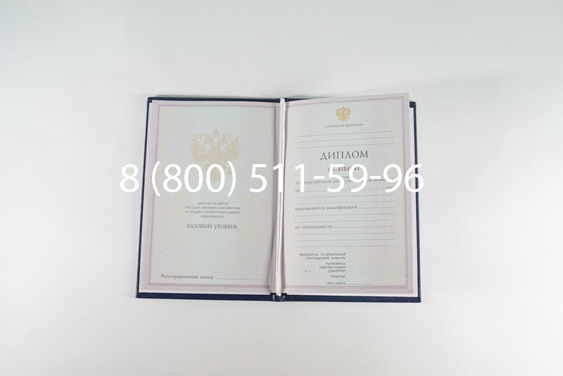 Диплом техникума 2003-2006 годов в Воронеже