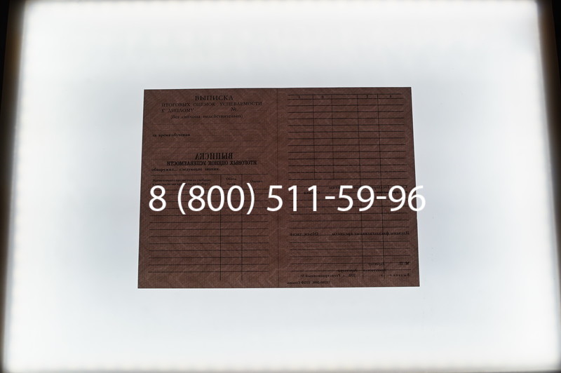 Заказать Диплом училища 1995-2006 годов в Воронеже