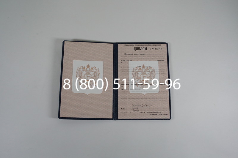 Заказать Диплом училища 1995-2006 годов в Воронеже