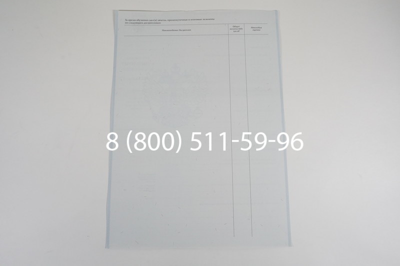 Диплом училища 2007-2009 годов в Воронеже