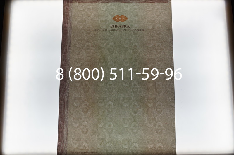 Купить Справка об обучении в Воронеже