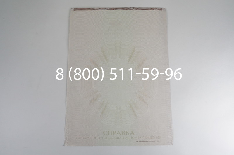 Заказать Справка об обучении в Воронеже