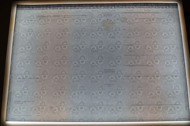 Заказать Красный Диплом (с приложением) в Воронеже