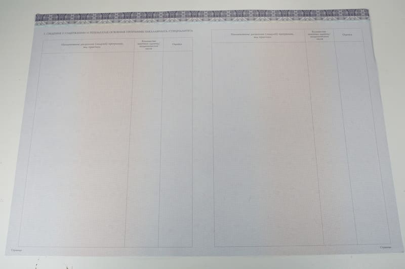 Красный Диплом (с приложением) в Воронеже